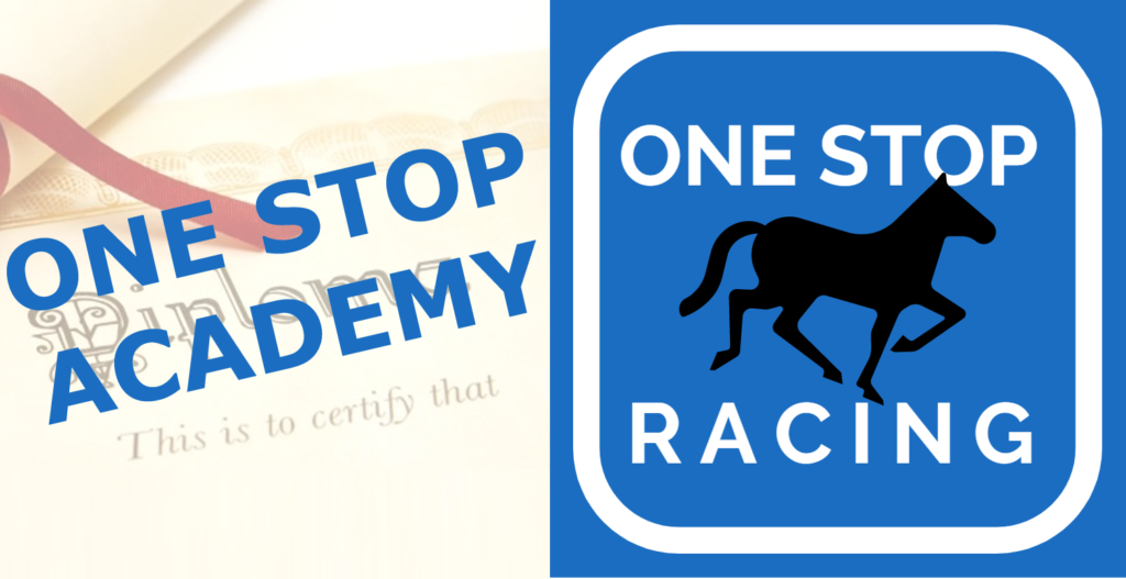 What are Horse Racing Ratings? One Stop Racing